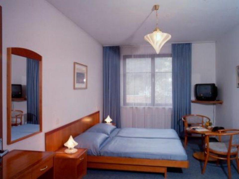 Hotel Dalimil Prague Room photo